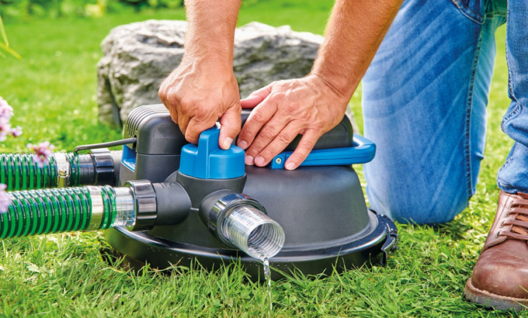 Why Oase Is the Best-Kept Secret for Crystal-Clear Ponds